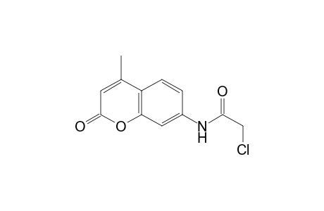 2-Chloranyl-N-(4-methyl-2-oxidanylidene-chromen-7-yl)ethanamide