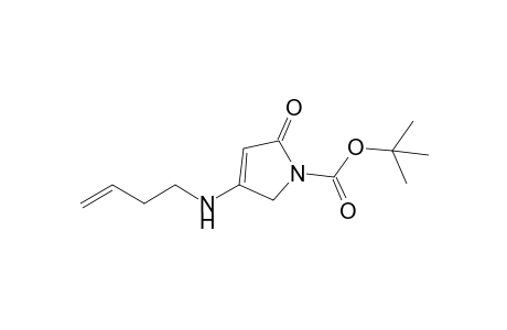 4-But-3-enylamino-2-oxo-2,5-dihydropyrrol-1-carboxylic acid tert-Butyl ester