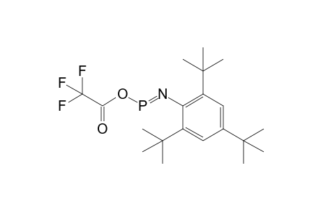 [(Trifluoromethyl)carbonyloxy]-[2',4',6'-tris(t-butyl)phenylimino]phosphane