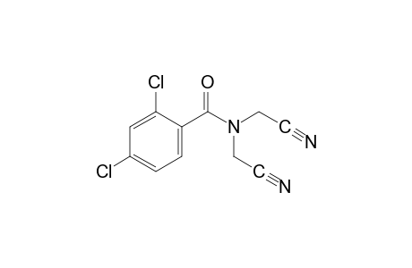N,N-bis(cyanomethyl)-2,4-dichlorobenzamide