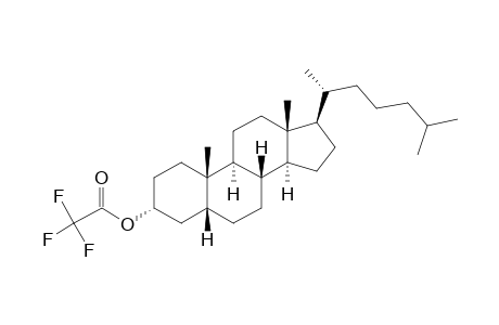 5.beta.-Cholestan-3.alpha.-ol, trifluoroacetate