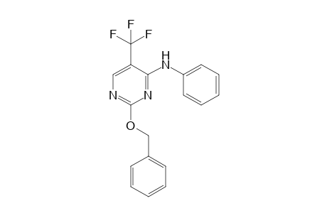 2-benzyloxy-4-phenylamino-5-(trifluoromethyl)pyrimidine