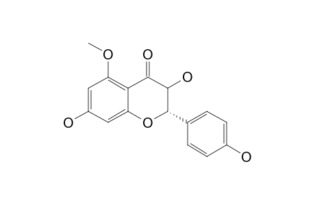 AROMADENDRIN-5-METHYLETHER