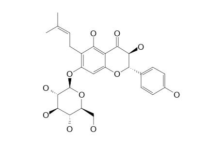 #1;7-O-BETA-D-GLUCOPYRANOSYL-6-(3-METHYL-BUT-2-ENYL)-5,4'-DIHYDROXY-FLAVANONOL;6-BETA,BETA-DIMETHYLALLYL-AROMADENDRIN-7-O-BETA-D-GLUCOPIRANOSIDE