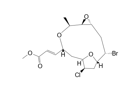 NZBKCNQQOBHOFJ-XEMRSDKPSA-N