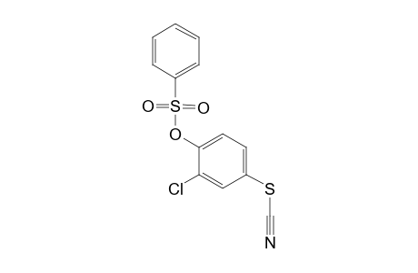 BENZENESULFONIC ACID, 2-CHLORO-4-THIOCYANATOPHENYL ESTER