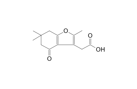 (2,6,6-Trimethyl-4-oxo-4,5,6,7-tetrahydro-1-benzofuran-3-yl)acetic acid