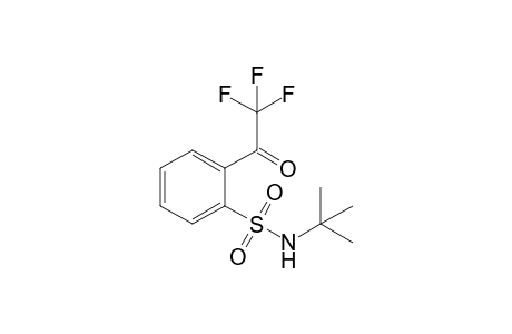 N-tert-Butyl-2-trifluoroacetylbenzenesulfonamide