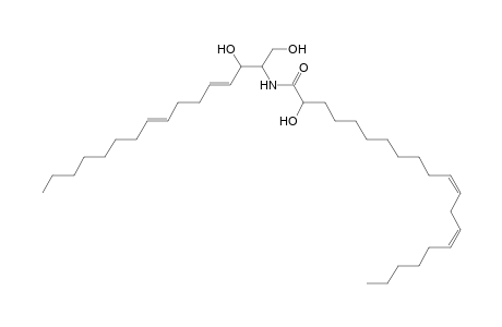 Cer 16:2;2O/20:2;(2OH)