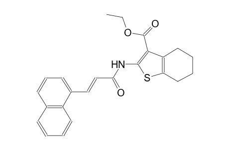 ethyl 2-{[(2E)-3-(1-naphthyl)-2-propenoyl]amino}-4,5,6,7-tetrahydro-1-benzothiophene-3-carboxylate