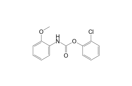 o-methoxycarbanilic acid, o-chlorophenyl ester