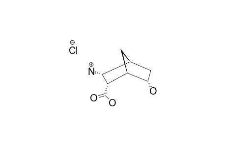 (1R*,2R*,3S*,4R*,6R*)-3-AMINO-6-HYDROXYBICYCLO-[2.2.1]-HEPTANE-2-CARBOXYLIC-ACID-HYDROCHLORIDE