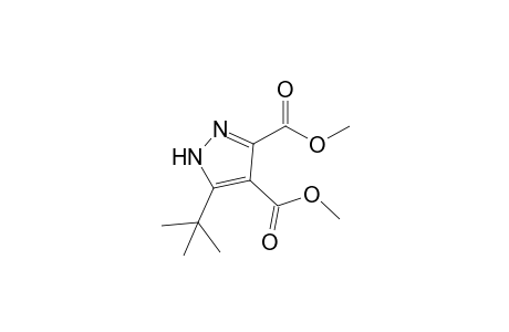Dimethyl 5-(t-butyl)-pyrazole-3,4-dicarboxylate