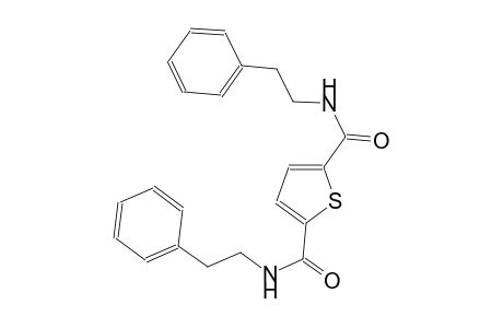 2-N,5-N-diphenethylthiophene-2,5-dicarboxamide