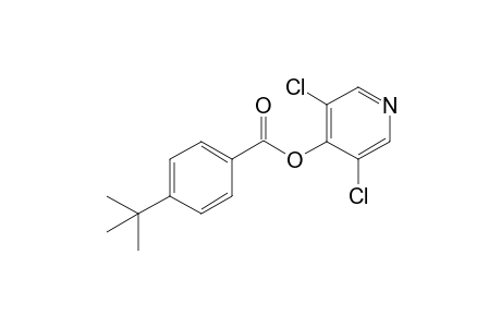 3,5-Dichloro-4-pyridinyl 4-tert-butylbenzoate
