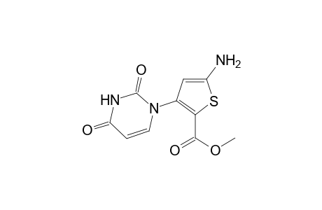 Methyl 5-amino-3-(1',2',3',4'-tetrahydro-2',4'-dioxopyrimidin-1'-yl)thiophene-2-carboxylate