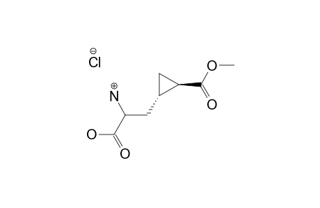 RAC-3-[TRANS-2'-(METHOXYCARBONYL)-CYCLOPROPYL]-ALANINE-HYDROCHLORIDE