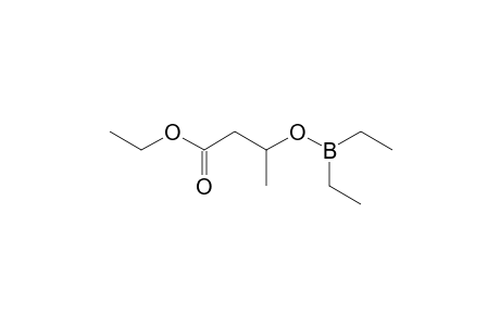 3-Diethylboranyloxybutanoic acid ethyl ester