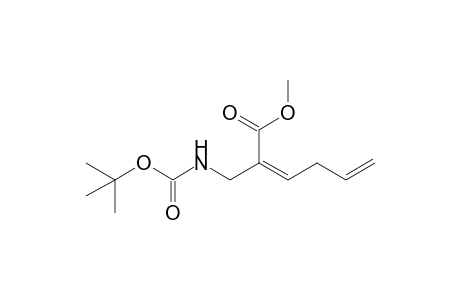 Methyl (2Z)-2-[(tert-butoxycarbonylamino)methyl]-hex-2,5-dienoate