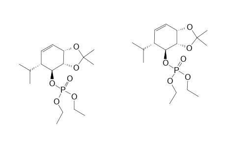 DIETHYL-(1S,2R,5S,6S)-2-ISOPROPYL-5,6-(ISOPROPYLIDENEDIOXY)-CYCLOHEX-3-ENYL-PHOSPHATE