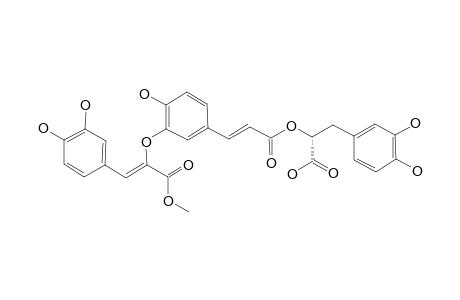 3-O-(CAFFEOYL)-ROSMARINIC-ACID-METHYLESTER