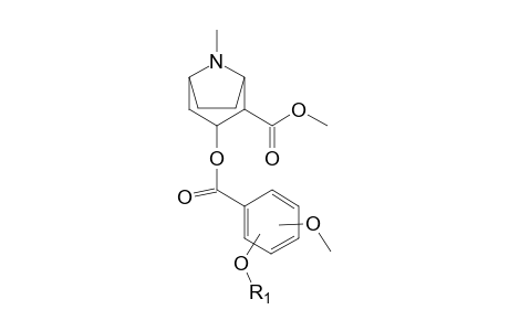 Cocaine-M (methoxy-HO-ring-glucuronide) MS2