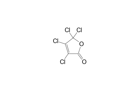 3,4,5,5-TETRACHLOR-3-OXOLEN-2-ONE