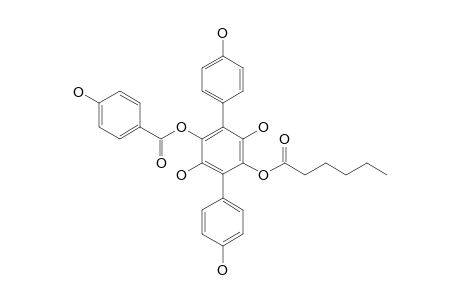 THELEPHANTIN-B