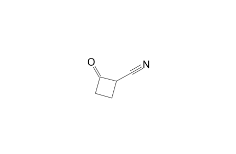 2-Oxocyclobutanecarbonitrile