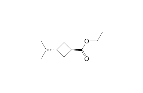 trans-3-Isopropylcyclobutanecarboxylate ethyl ester