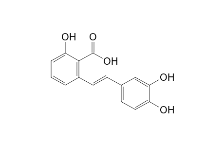 2-[(E)-2-(3,4-dihydroxyphenyl)ethenyl]-6-hydroxybenzoic acid