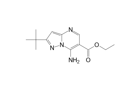Pyrazolo[1,5-a]pyrimidine-6-carboxylic acid, 7-amino-2-(1,1-dimethylethyl)-, ethyl ester