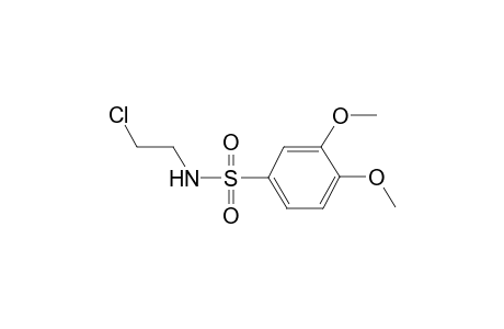 Benzenesulfonamide, N-(2-chloroethyl)-3,4-dimethoxy-