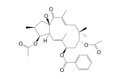 PUBESCENE_C