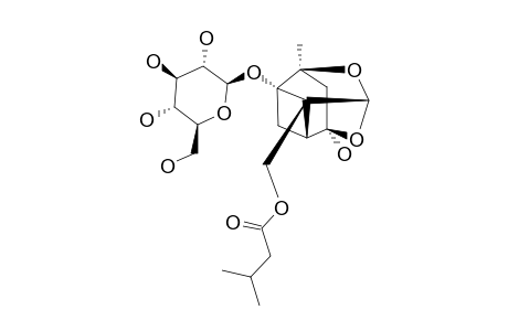 8-O-ISOVALERYL-DESBENZOYLPAEONIFLORIN