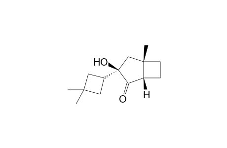 rel-(1S,3R,5S)-3-(3,3-Dimethyl-cyclobutyl)-3-hydroxy-5-methyl-bicyclo[3.2.0]heptan-2-one