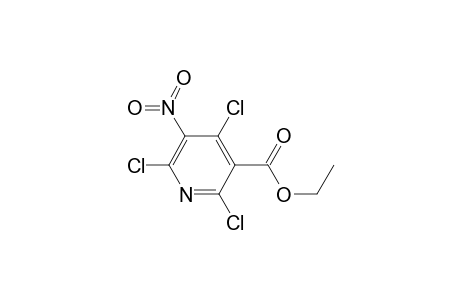 2,4,6-Trichloro-5-nitro-nicotinic acid ethyl ester