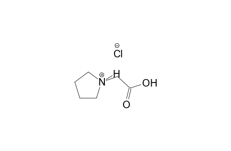 pyrrolidinium, 1-(carboxymethyl)-, chloride