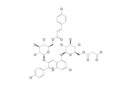 PALERGONIDIN-3-O-(6-O-TRANS-PARA-COUMAROYL-BETA-D-GLUCOPYRANOSIDE)-5-O-(6-O-MALONYL-BETA-D-GLUCOPYRANOSIDE)