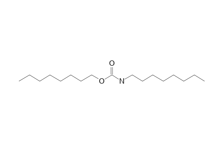 Carbonic acid, monoamide, N-octyl-, octyl ester