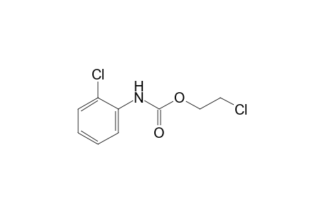 o-chlorocarbanilic acid, 2-chloroethyl ester
