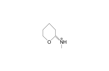 N-Methyl-tetrahydropyran-2-iminium cation