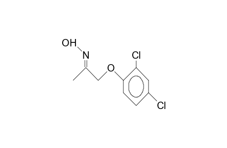 1-(2,4-Dichloro-phenoxy)-2-propanone E-oxime