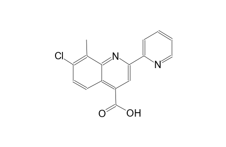 7-chloro-8-methyl-2-(2-pyridinyl)-4-quinolinecarboxylic acid