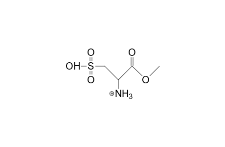 Cysteine-sulfonic acid, methyl ester cation