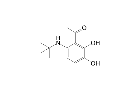 2-Acetyl-3,4-dihydroxy-N-tert-butylaniline