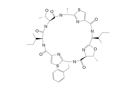 PATELLAMIDE_G