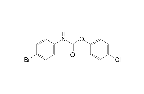 p-bromocarbanilic acid, p-chlorophenyl ester