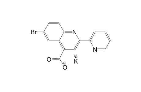 potassium 6-bromo-2-(2-pyridinyl)-4-quinolinecarboxylate