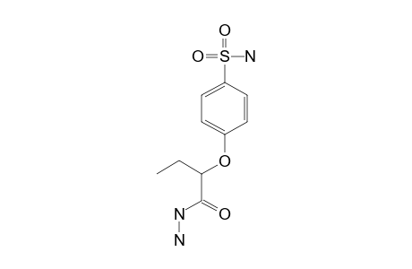 2-(p-SULFAMOYLPHENOXY)BUTYRIC ACID, HYDRAZIDE